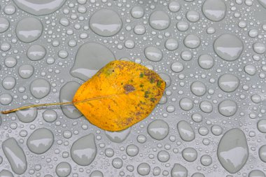 Gri plastik yüzey, arkaplan, duvar kağıdı üzerindeki su damlaları.