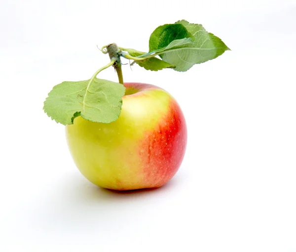 Foto Van Een Appels Witte Achtergrond — Stockfoto