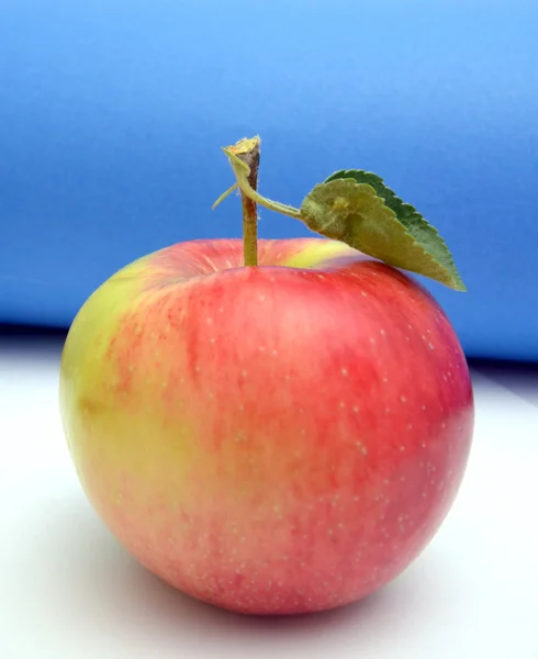 Gewoon hervested verse Apple — Stockfoto