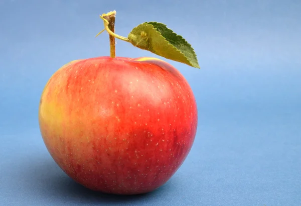 Just hervested fresh Apple — Stock Photo, Image