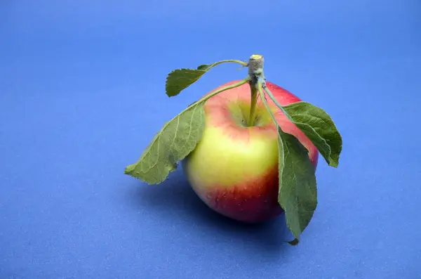 Gewoon hervested verse Apple — Stockfoto