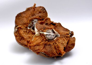 Stüdyo organik kirlilik temalı çürük ayva resmi..