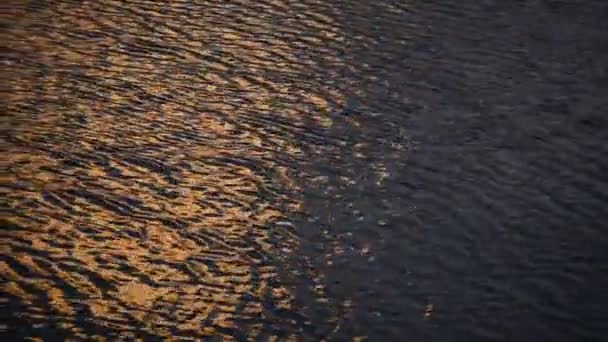 Focus in di un'acqua su tramonto — Video Stock