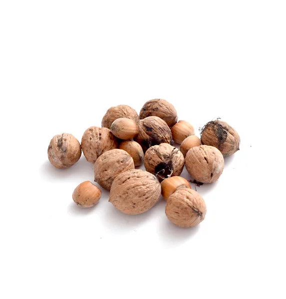 Wanuts dan hazelnut — Stok Foto