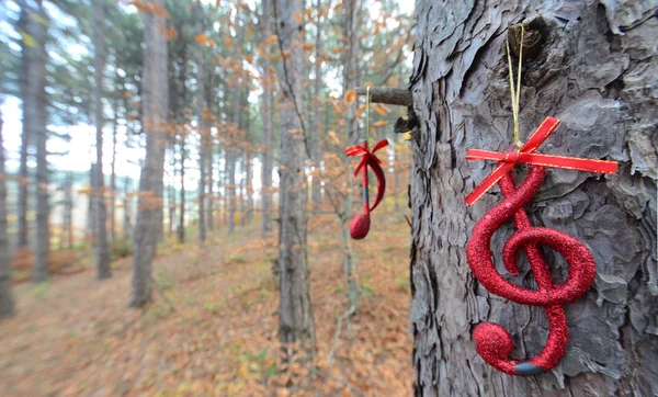 Різдвяна музична записка в осінньому лісі — стокове фото