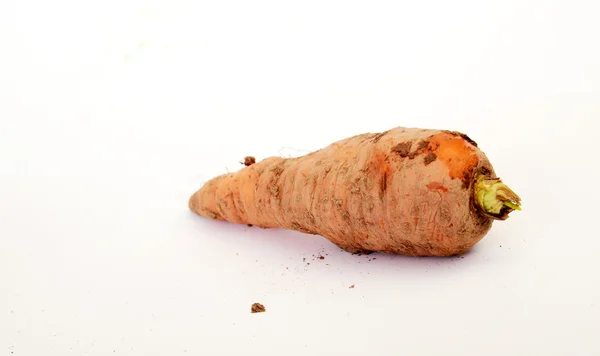 Щойно зібрана органічна морква — стокове фото