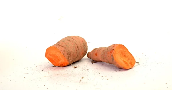Cenoura orgânica acabada de colher — Fotografia de Stock
