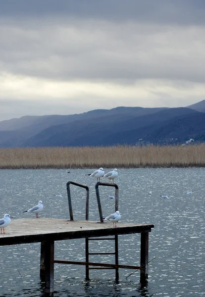Ohrid Lake, Makedónia — Stock Fotó
