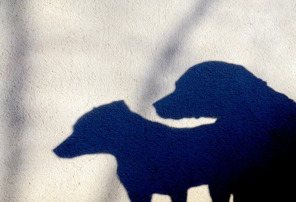 Silhouette di due cani su una parete — Foto Stock