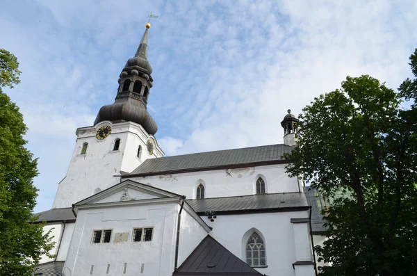 Tallinn, Estland - 16 juli 2015: Tallinn bovenstad. Oude Tallinn maakt deel uit van de Unesco World Heritage site Stockfoto