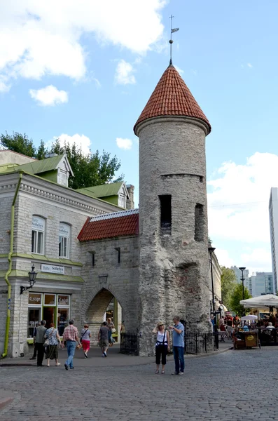 TALLIN, ESTONIA. 24 AGOSTO 2015- Vista turística de la arquitectura del casco antiguo en Tallin, Estonia — Foto de Stock