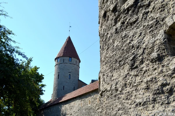 Imagen de un TALLIN, ESTONIA. 24 AGOSTO 2015- Vista turística de la arquitectura del casco antiguo en Tallin, Estonia — Foto de Stock