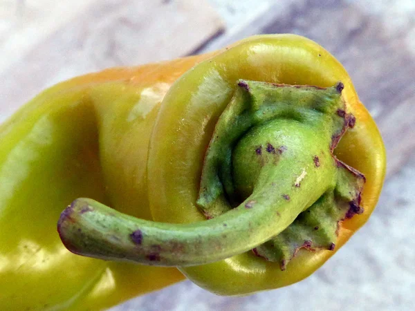 Dojrzała papryka zielona — Zdjęcie stockowe