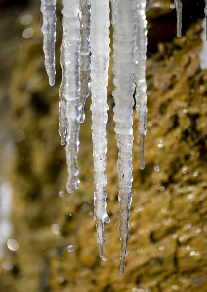 Picture of an Icicles — Stock Photo, Image