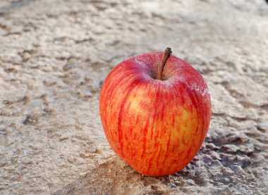 Sabah Frost'un üzerinde beton ile kırmızı elma