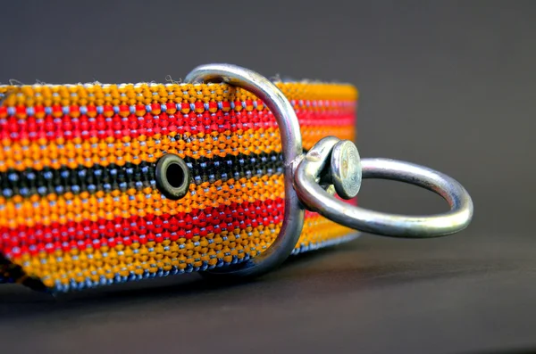 brand new colorful dog collar