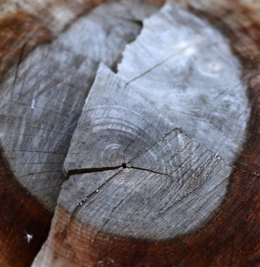 eski ahşap arka plan