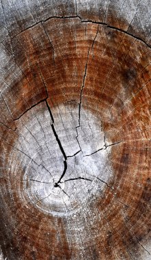 eski ahşap arka plan