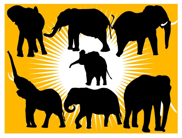 Collection of elephants — Stock Vector