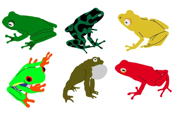 Frogs — Stock Vector