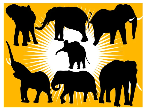 Collectie van olifanten Stockillustratie