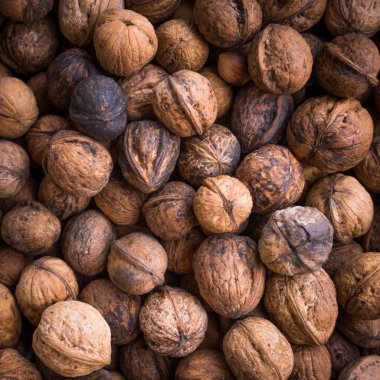 Unshelled ceviz doku