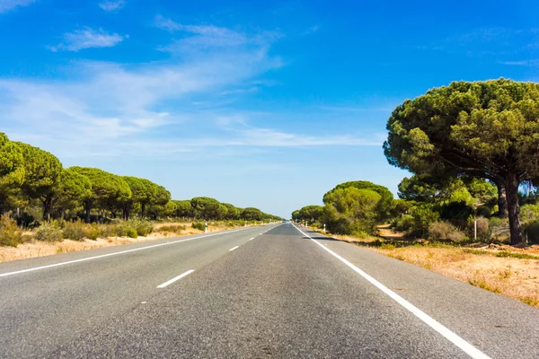 Winding asphalt road — Stock Photo, Image