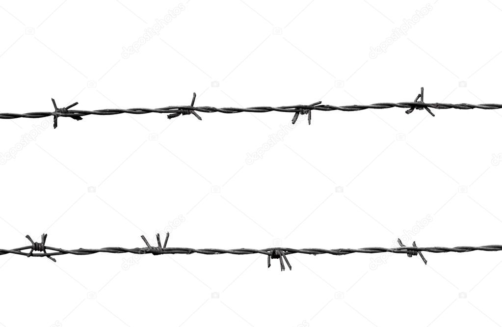 Metal Barbed Wires