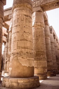 sandstone columns in Egypt. clipart