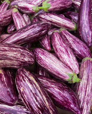 mor çizgili patlıcanlar