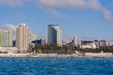 Sochi Beach'te görünümünü