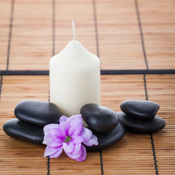 Zen stones  and flowers — Stock Photo, Image