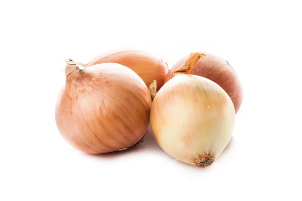 Fresh golden onions — Stock Photo, Image