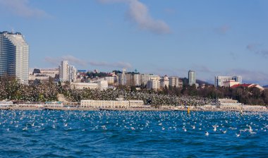 Sochi Beach'te görünümünü