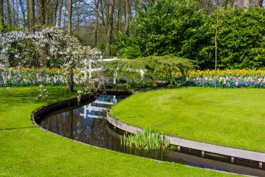 Hollanda 'daki Keukenhof Parkı.
