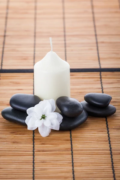 Zen stones  and flower — Stock Photo, Image