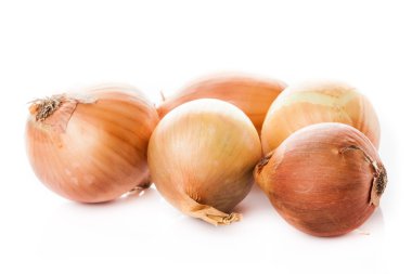 Altın taze soğan