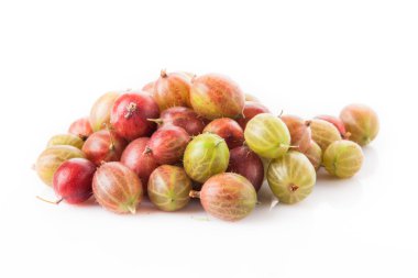 yeşil ve kırmızı bektaşi