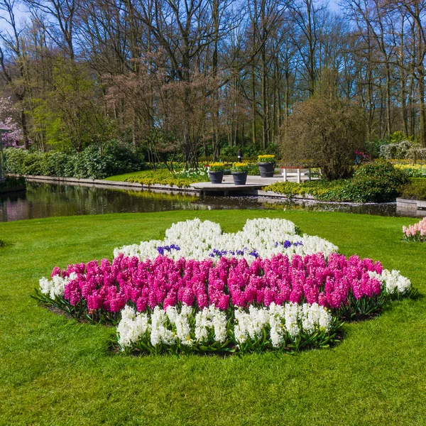 Keukenhof park in Nederland. — Stockfoto