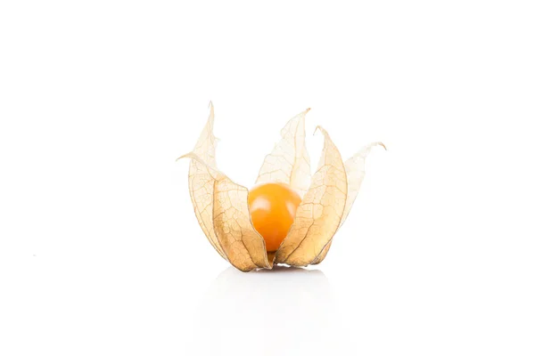 Fresh Yellow physalis — Stock Photo, Image