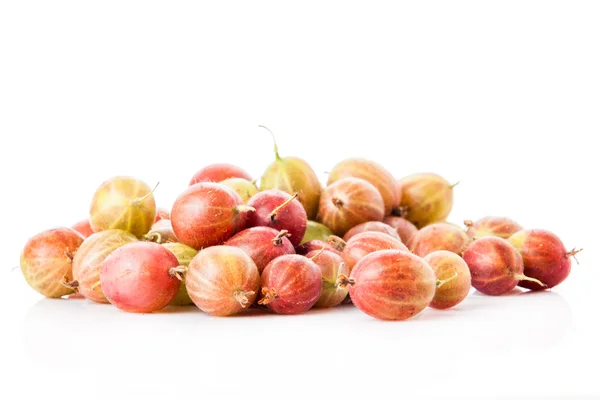 Green and red gooseberries Royalty Free Stock Images