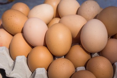 Taze çiftlik yumurtaları