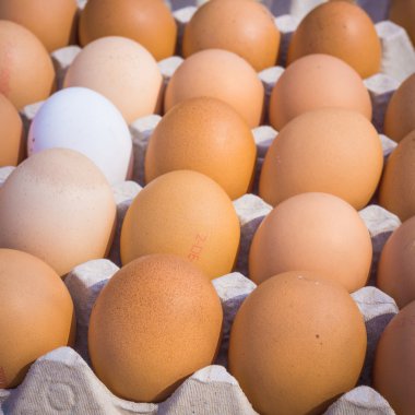 Pazardaki yumurtalar.. 