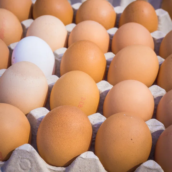 Pazardaki yumurtalar.. 