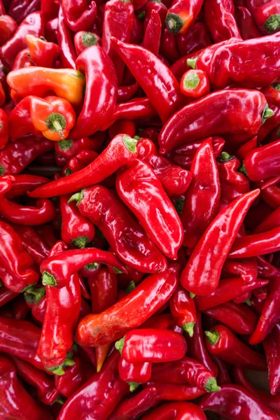 Kırmızı Pul Biber