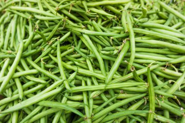 Taze Yeşil Fasulye