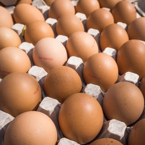 Huevos en el mercado. — Foto de Stock