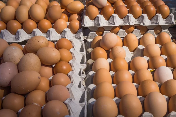 Uova fresche di fattoria — Foto Stock