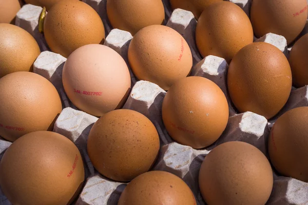 Taze çiftlik yumurtaları — Stok fotoğraf