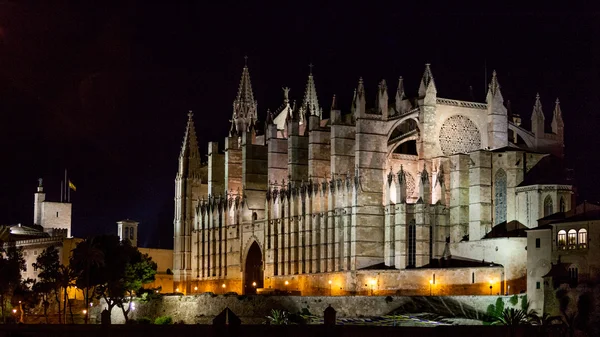 Kathedraal San seu in nacht — Stockfoto
